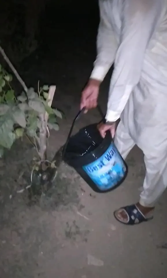 Green Seekers Activity